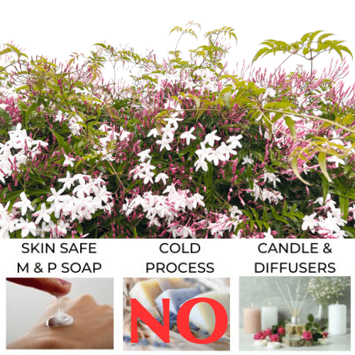 Jasmine Fragrance Oil