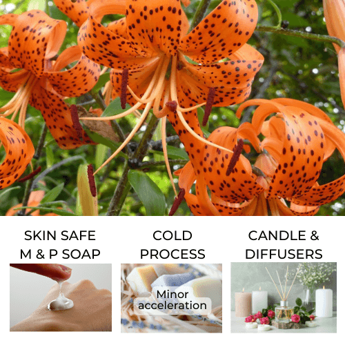 Tigerlily and Patchouli Fragrance Oil – Heirloom Body Care