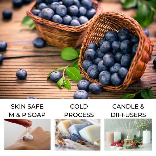 Fresh Blueberries to represent Blueberry Fragrance Oil