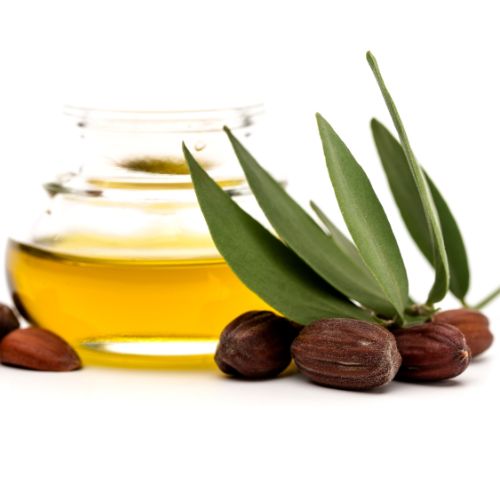 Brown Jojoba fruit and yellow Jojoba oils