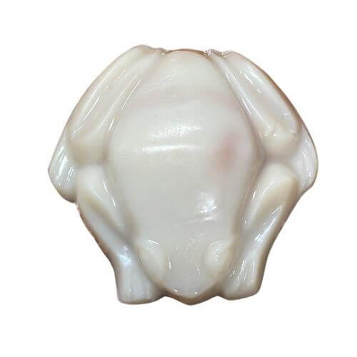 Soap frog showing the colour Midnight Waters fragrance turns soap