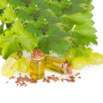 Grapeseed Oil in little bottles under a grape vine