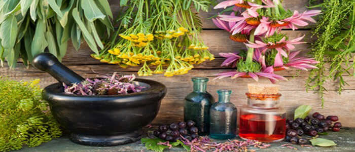 Essential Oils from your Sydney Essential Oil Company