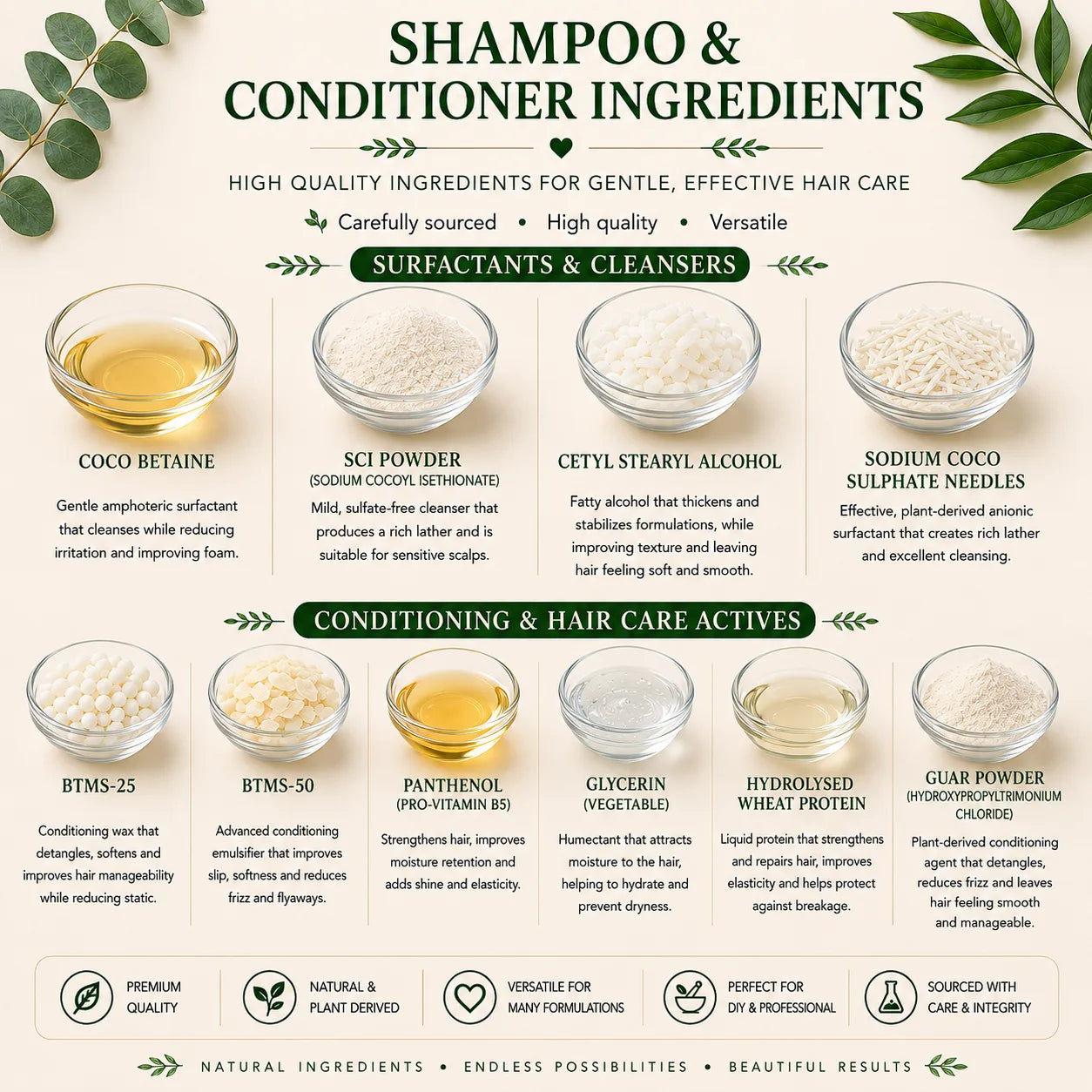 Assorted ingredients associated with making conditioner and shampoo for hair