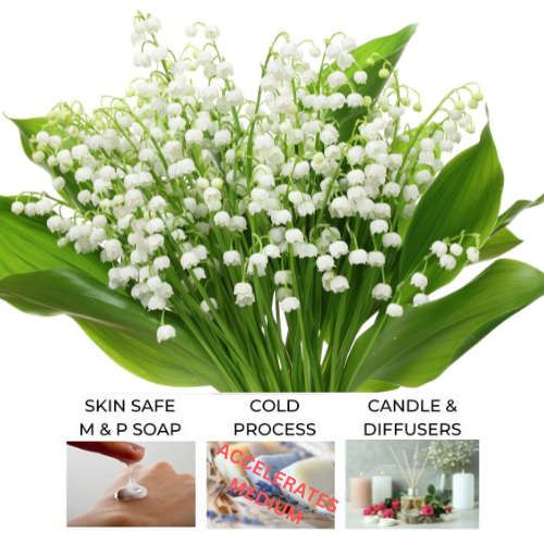 Lily of the valley flowers to represent Lily of the Valley Fragrance Oil