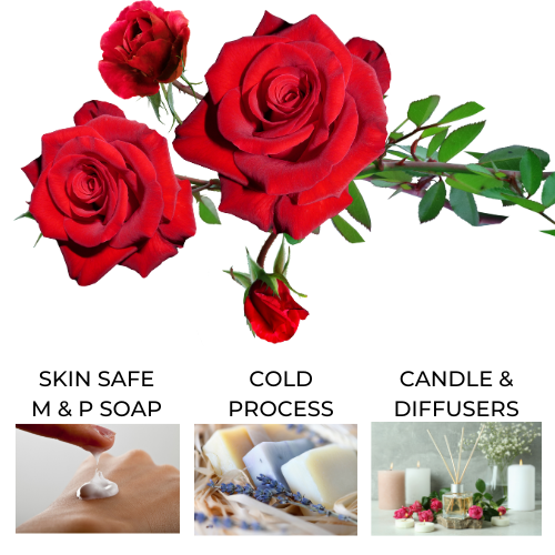 True Rose Fragrance Oil