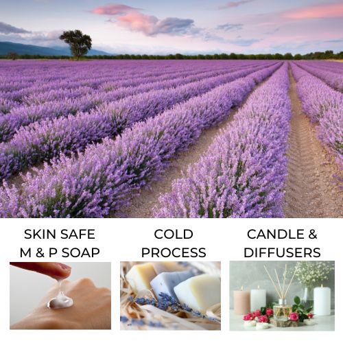 Lavender Fields Fragrance Oil
