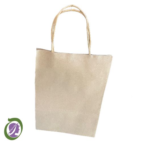 Medium sized brown carry bag with twisted handles