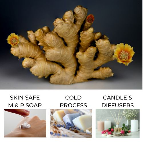 Ginger with flowers representing ginger lily fragrance oil