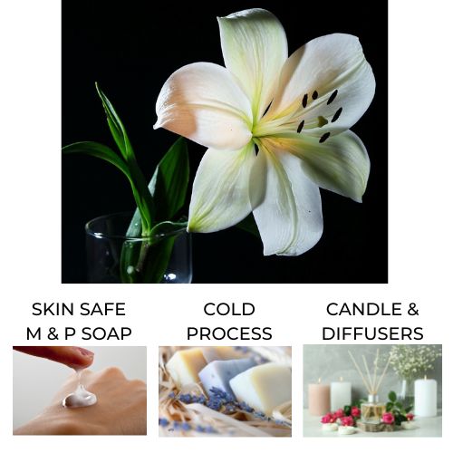 A white lily in a clear vase to represent white lily fragrance oil