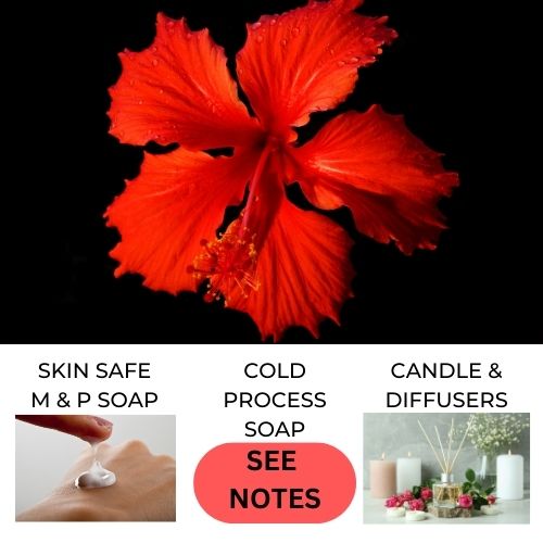 Wild Hibiscus Fragrance Oil