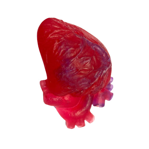 Anatomical Heart Soap