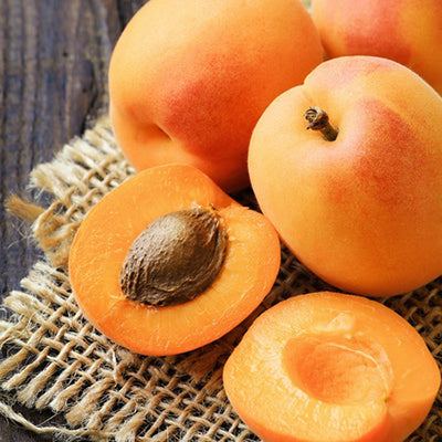 Ripe apricots to depict apricot kernel oil