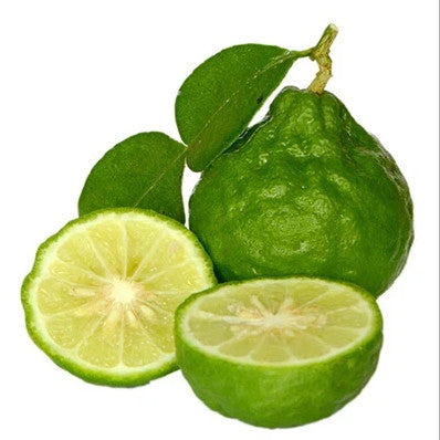 Bergamot fruit on white background to represent Bergamot Essential Oil