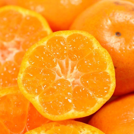 Flavour Oil Burst of Orange represented by fresh, juicy oranges