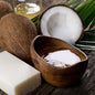 Coconuts and oil depicting Coconut Oil RBD 