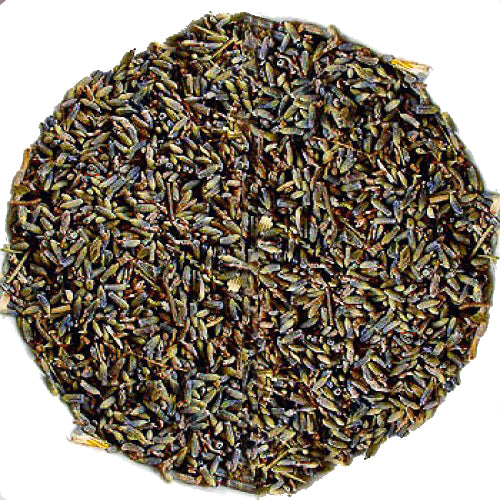 Dried Lavender Flowers on a white background