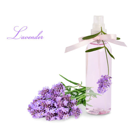 Lavender Hydrosol - Organic