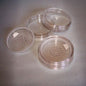 25gm FLAT Clear Makeup Pot, Lid & Sifter