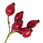 Rosehip Oil Organic - Unrefined represented by rose hips